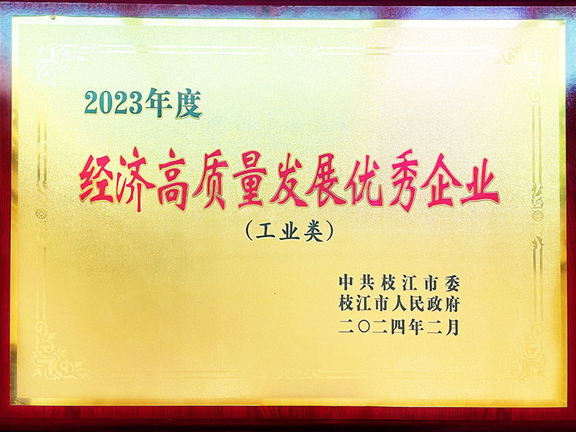 2023年度“經(jīng)濟高質量發(fā)展優(yōu)秀企業(yè)”